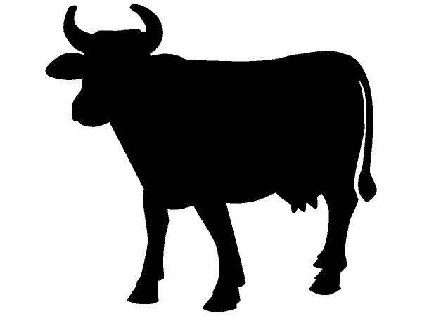 Животные 245