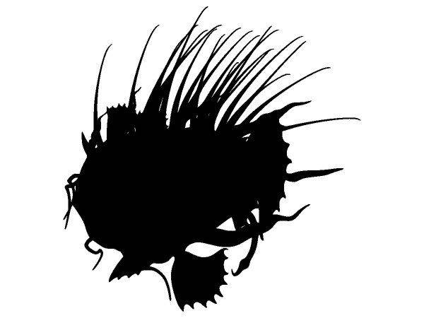 Животные 4165