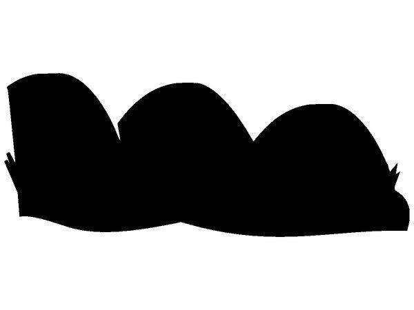 Животные 2513