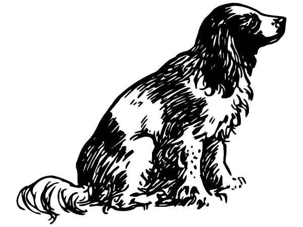 Животные 1299