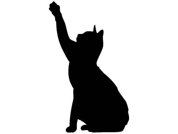 Животные 878