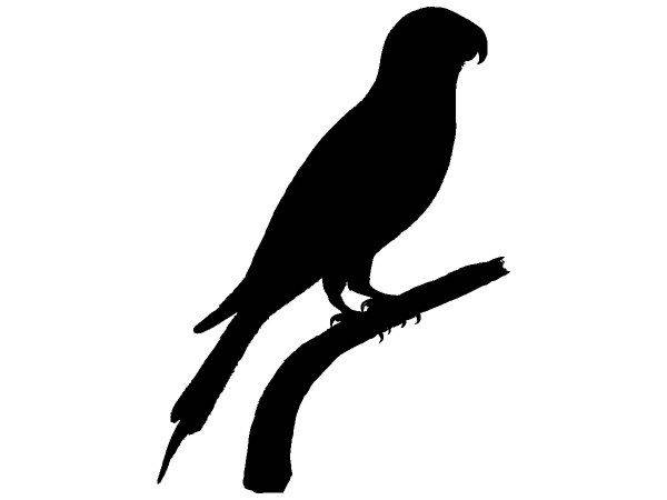 Животные 3242 Животные 3242