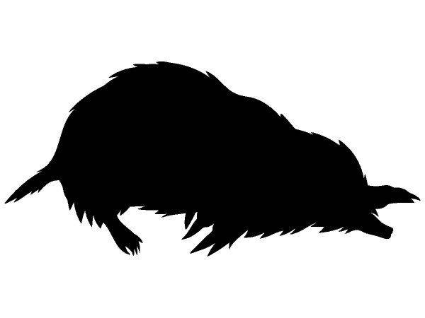 Животные 358