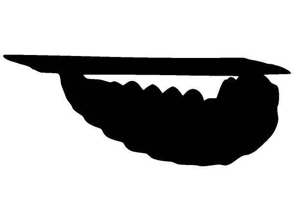 Животные 1548