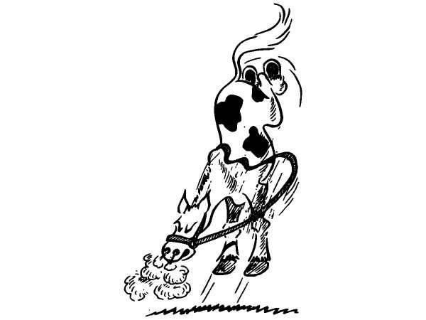 Животные 327