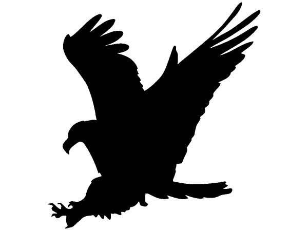 Животные 236