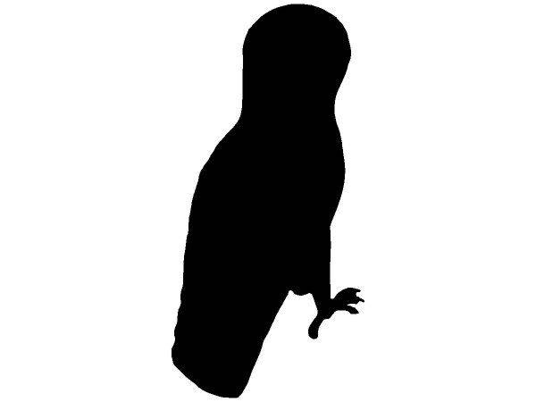 Животные 2779