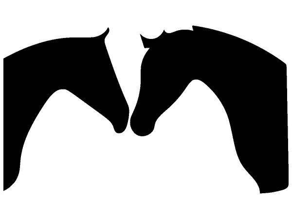 Животные 4127