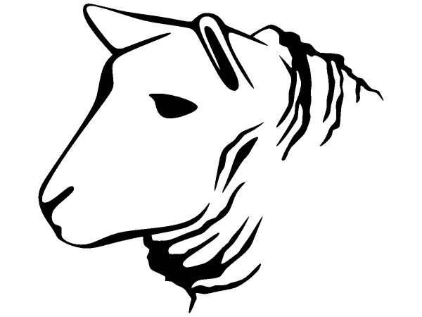 Животные 1241