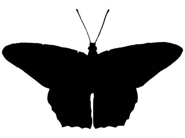 Животные 2274 Животные 2274