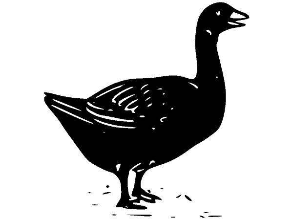 Животные 2356 Животные 2356