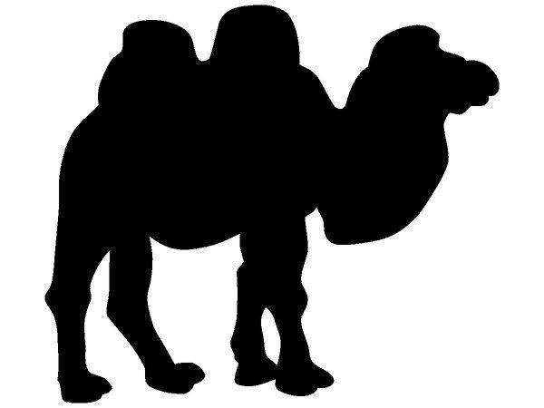 Животные 2473 Животные 2473