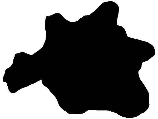 Животные 3072