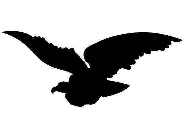 Животные 3629 Животные 3629