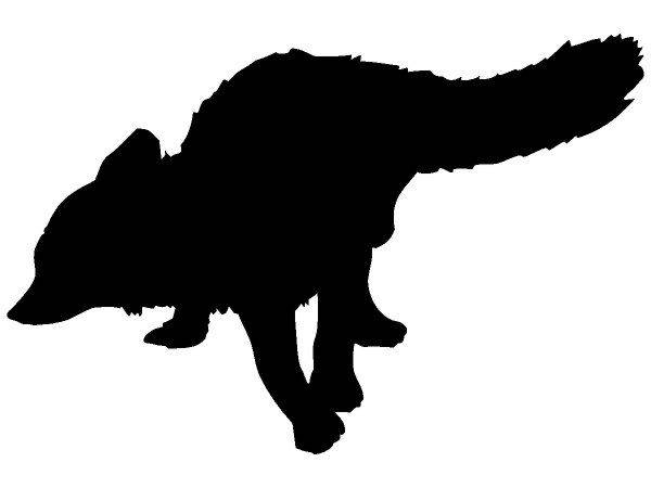 Животные 679 Животные 679