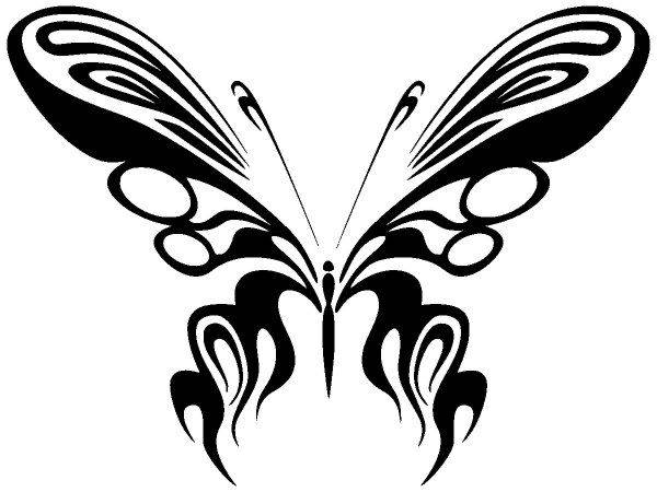 Животные 2636