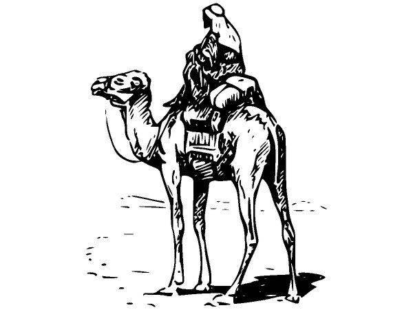 Животные 511