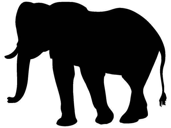 Животные 3405 Животные 3405