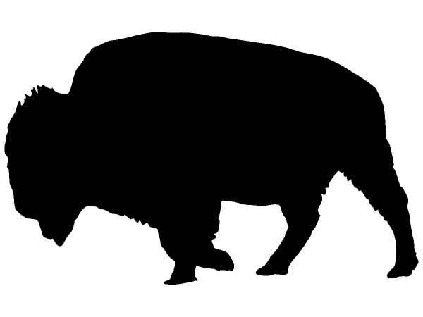 Животные 1343