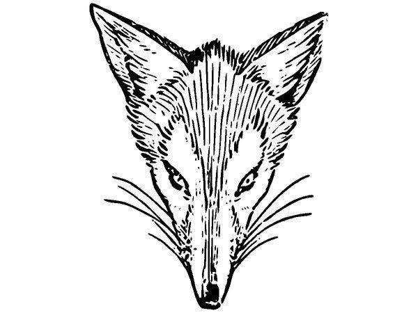 Животные 3897 Животные 3897