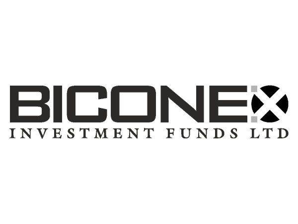 Bicone logo Bicone logo