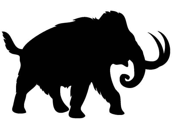 Животные 201