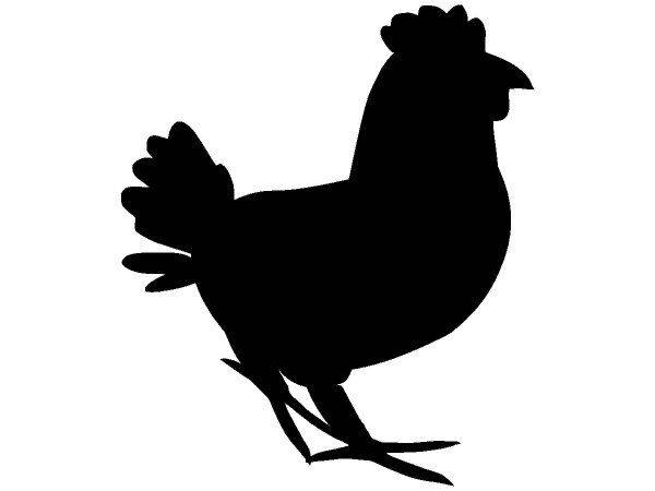 Животные 2072