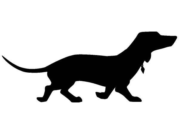 Животные 413