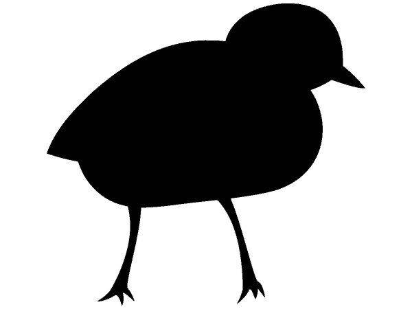 Животные 3374 Животные 3374