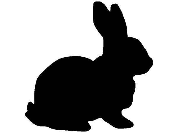 Животные 3134 Животные 3134