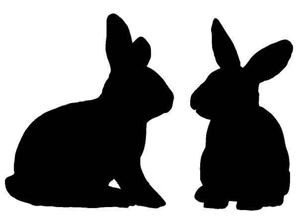 Животные 2099 Животные 2099