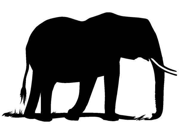 Животные 691 Животные 691