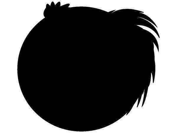 Животные 3557 Животные 3557