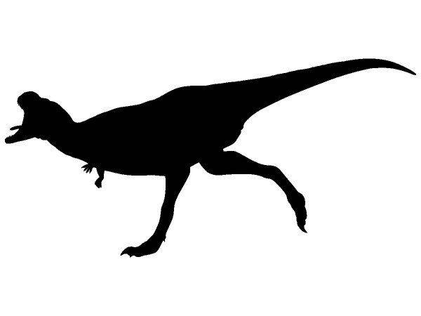 Животные 3030 Животные 3030