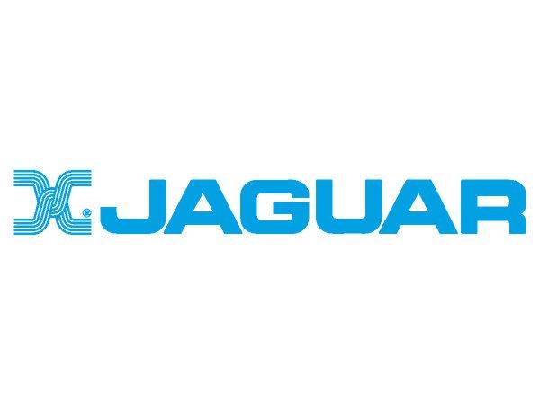 Jaguar logo2