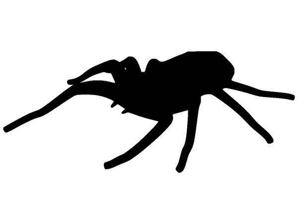 Животные 1240 Животные 1240