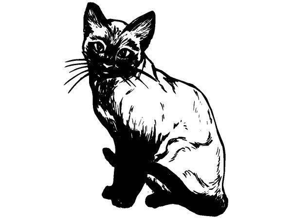 Животные 595 Животные 595