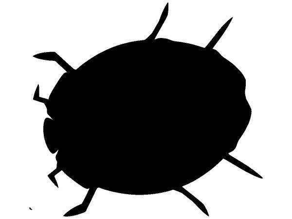 Животные 3055 Животные 3055