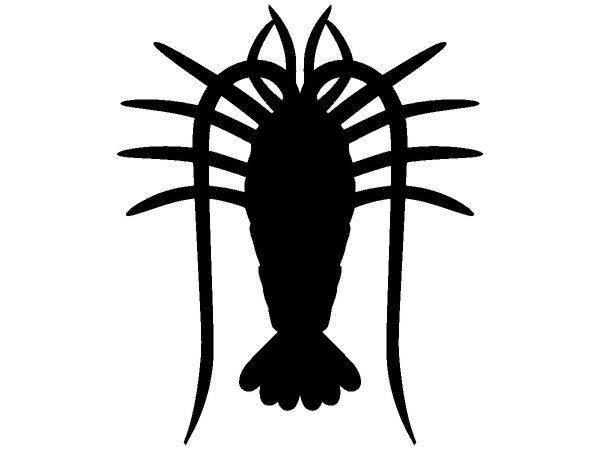 Животные 3707