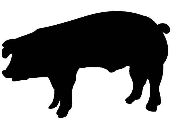 Животные 373