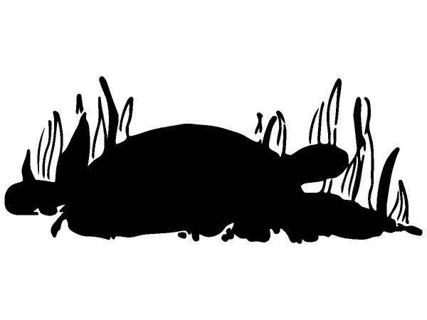 Животные 2223 Животные 2223