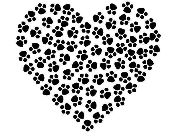 Животные 3369 Животные 3369