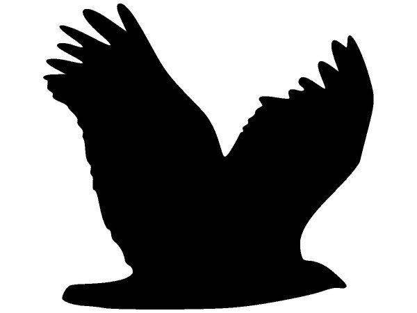 Животные 1574