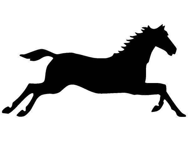 Животные 2282 Животные 2282