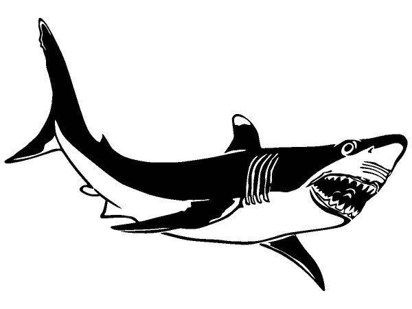 Животные 1282