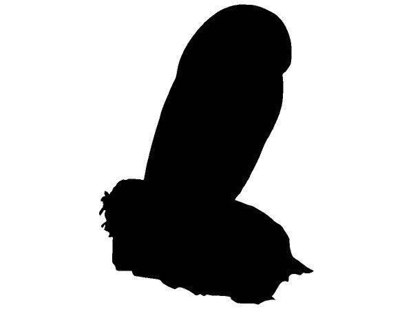 Животные 3339 Животные 3339