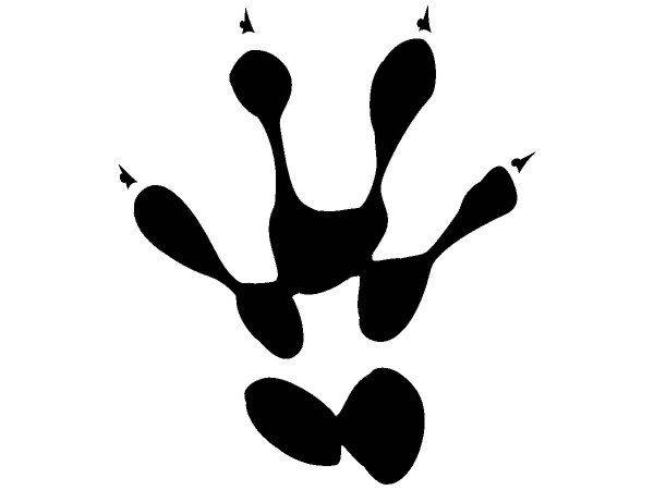 Животные 1235 Животные 1235