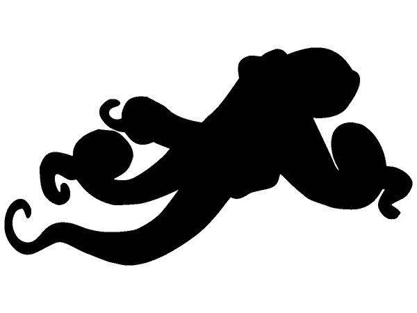 Животные 1664