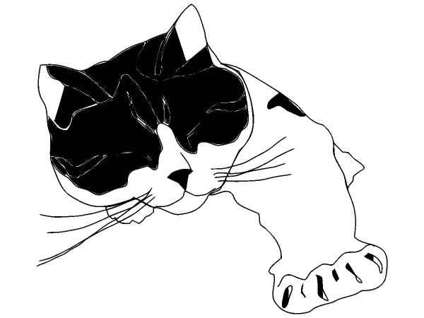 Животные 141