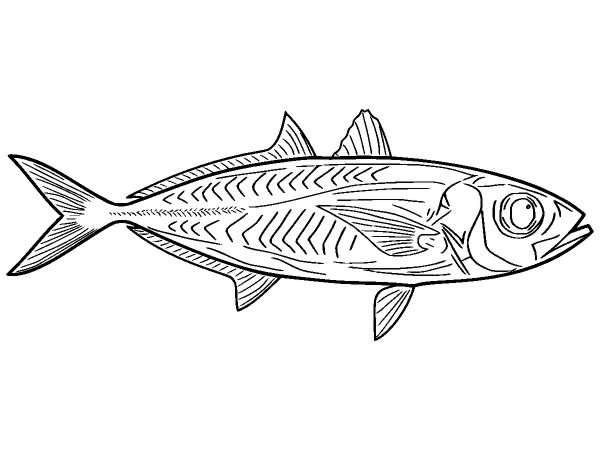 Животные 1319